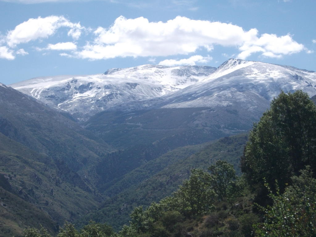Apartamentos Sierra Nevada Welcome Serra Nevada Quarto foto